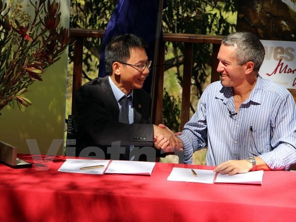 Vietnam dan Australia bekerjasama mengembangkan pariwisata geologi gua - ảnh 1
