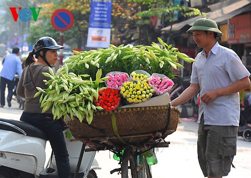 Keindahan dari taman bunga Lili di kota Hanoi. - ảnh 3