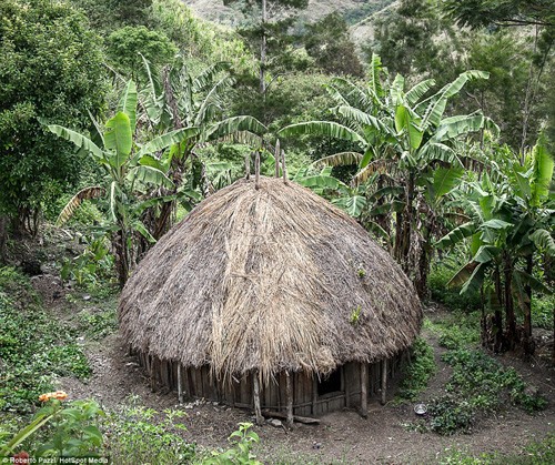 Suku-suku Indonesia di daerah dataran tinggi Papua, Indonesia - ảnh 16