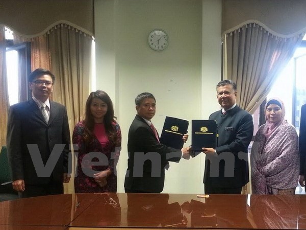 Vietnam dan Malaysia melakukan perundingan tentang MoU tentang ketenaga-kerjaan - ảnh 1