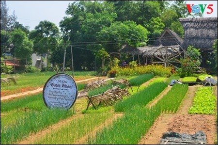 Mengunjungi desa sayur-sayuran organik tradisional Tra Que  - ảnh 12