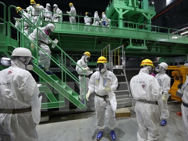 IAEA mengumumkan laporan menyeluruh tentang musibah nuklir Fukushima - ảnh 1