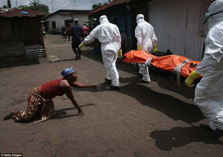 WHO menegaskan tidak ada kasus terinfeksi baru dari virus Ebola pada pekan lalu di Afrika Barat - ảnh 1