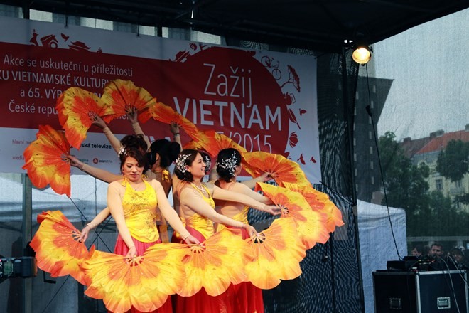 Komunitas orang Vietnam menghadiri Festival multi-budaya pertama di Republik Czech - ảnh 1
