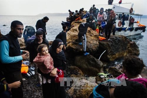 Masalah migran : 12 orang yang lagi mati di lepas pantai Turki - ảnh 1