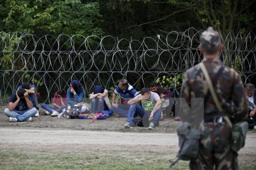 Jerman mengesahkan paket langkah ke-2 untuk menangani situasi tentang para migran - ảnh 1