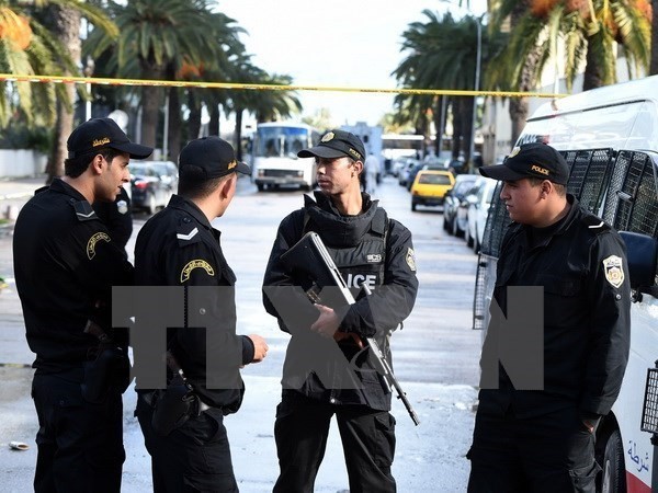 Tunisia menghancurkan intrik teroris - ảnh 1