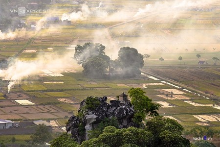 Musim panenan padi  kuning di kaki gunung Tram di peluaran ibukota Hanoi - ảnh 8
