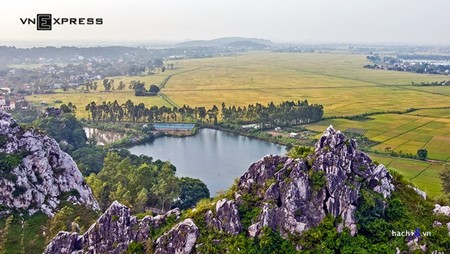 Musim panenan padi  kuning di kaki gunung Tram di peluaran ibukota Hanoi - ảnh 5
