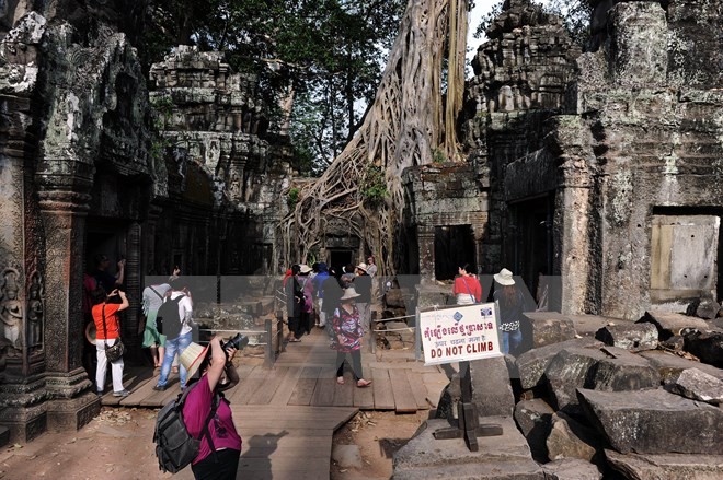 Vietnam memelopori semua negara tentang jumlah wisatawan yang datang ke Kamboja - ảnh 1