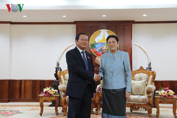 Ketua Parlemen Laos Pany Yathotou menerima Wakil Ketua MN Vietnam Do Ba Ty - ảnh 1