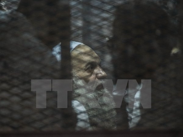Mesir memberitahukan telah membasmi pemimpin senior Ikhwanul Muslimin - ảnh 1