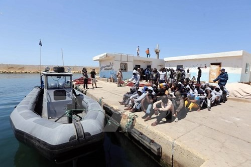 Kira-kira 800 orang migran diselamatkan di  lepas laut Libia - ảnh 1