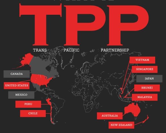Malaysia dan Selandia Baru mendorong RCEP setelah AS menarik diri dari TPP - ảnh 1
