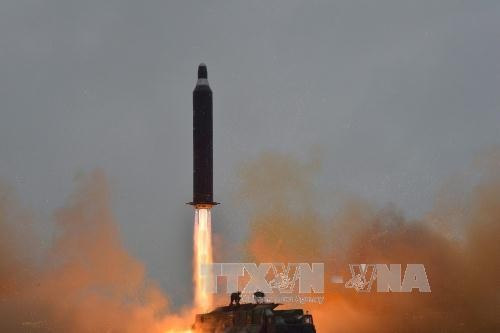 RDRK mencela  latihan perang dengan rudal yang dilakukan AS, Republik Korea dan Jepang - ảnh 1
