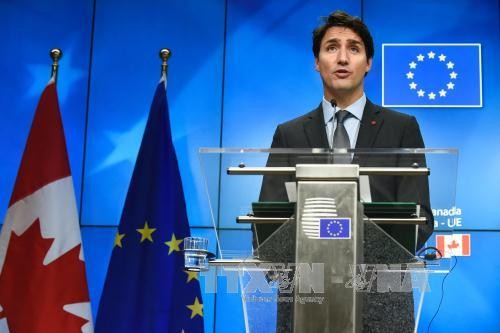 Kanada menyatakan kesediaan melakukan perundingan untuk mengamandir NAFTA  - ảnh 1