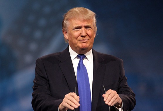 Presiden AS, Donald Trump akan menghadiri  Konferensi Tingkat Tinggi APEC di Vietnam - ảnh 1