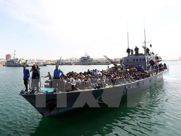  Kira-kira 2300 pengungsi telah diselamatkan di lepas pantai Libia - ảnh 1