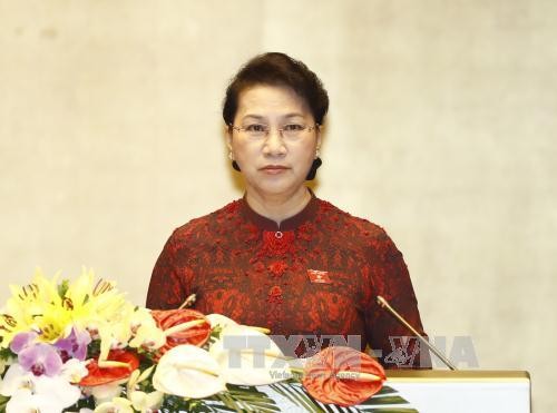 Pemerintah Vietnam mempresentasikan solusi untuk melaksanakan target perkembangan ekonomi tahun 2017 - ảnh 2