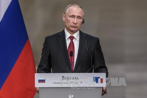  Presiden Rusia berseru kepada Uni Eropa untuk bekerjasama melawan terorisme - ảnh 1