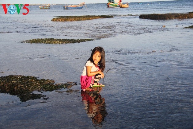  Kehidupan sehari hari di kabupaten pulau Ly Son - ảnh 10