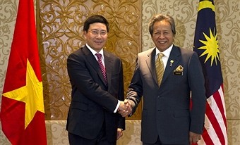  Vietnam dan Malaysia memperkuat kerjasama komprehensif - ảnh 1