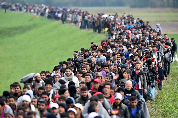 Masalah migran: Mesir berhasil mencegah intrik membawa migran secara ilegal ke Eropa - ảnh 1