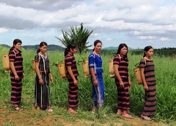 Kerajinan anyam- menganyam tradisional dari warga etnis minoritas Pa Ko - ảnh 1