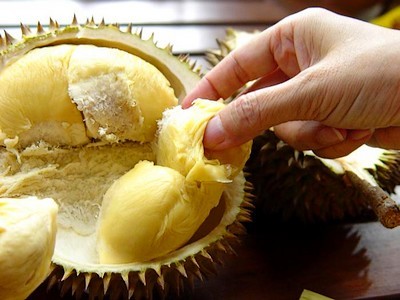 Perkenalan tentang buah durian Vietnam  - ảnh 2