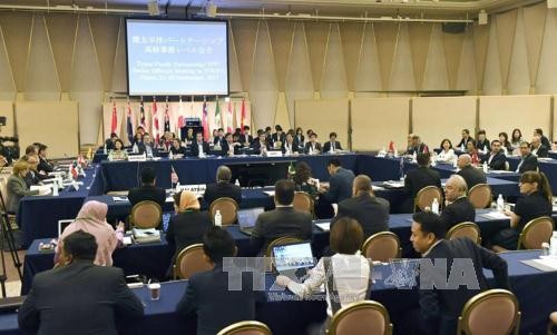  Para perunding TPP melakukan pertemuan di Jepang - ảnh 1