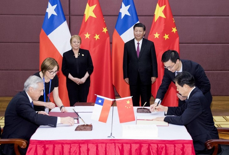 Tiongkok dan Cile menaikkan tingkat Permufakatan Perdagangan Bebas Bilateral - ảnh 1