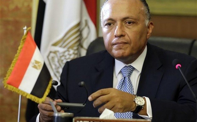 Mesir dan Arab Saudi menjunjung tinggi persatuan dalam dunia Arab - ảnh 1
