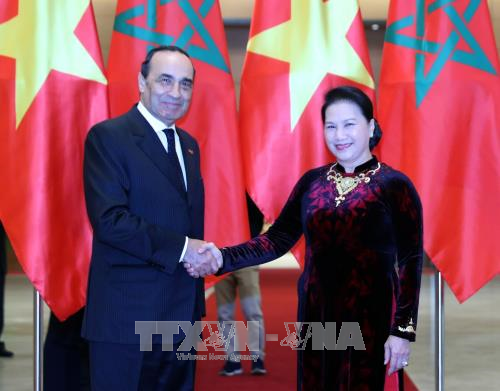 Vietnam menghargai pengembangan hubungan persahabatan dan kerjasama banyak bidang dengan Maroko - ảnh 1