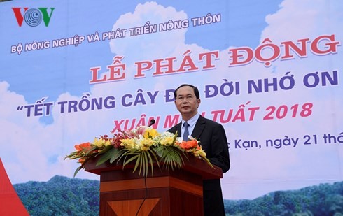  Presiden Vietnam, Tran Dai Quang mencanangkan “Hari Raya Tet penghijauan“ - ảnh 1