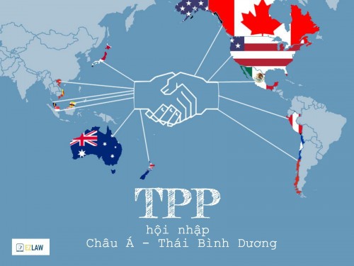 Penandatanganan CP TPP: Selandia Baru menyambut upaya mencegah perang dagang - ảnh 1
