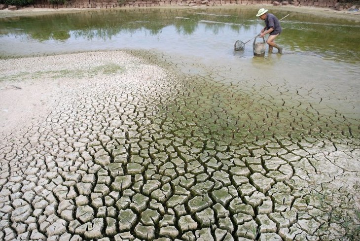 Vietnam bersama-sama dengan komunitas internasional aktif menanggulangi perubahan iklim - ảnh 1
