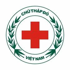 Menerapkan teknologi informasi dalam mengelola musibah di  Vietnam - ảnh 1