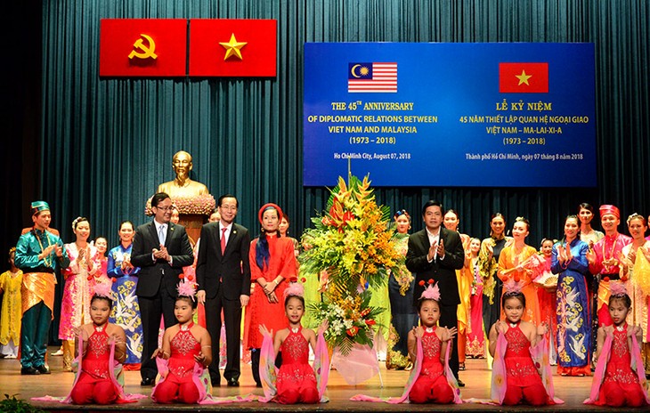 Kota Ho Chi Minh memperingati ultah ke-45 penggalangan hubungan diplomatik Vietnam-Malaysia - ảnh 1