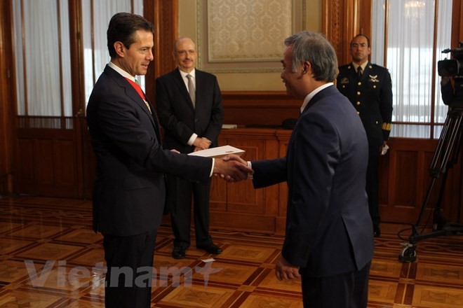 Presiden terpilih Meksiko menginginkan mempererat hubungan bilateral dengan Vietnam - ảnh 1