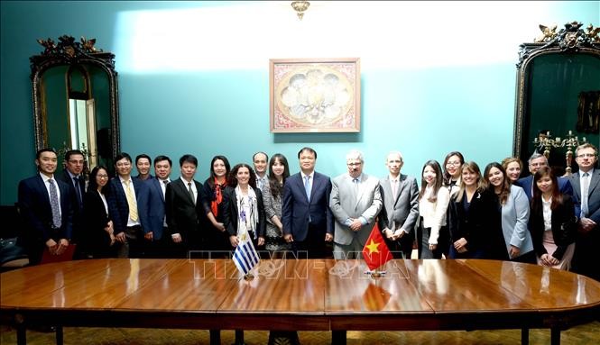 Memperingati ultah ke-25 penggalangan hubungan diplomatik Vietnam-Uruguay - ảnh 1