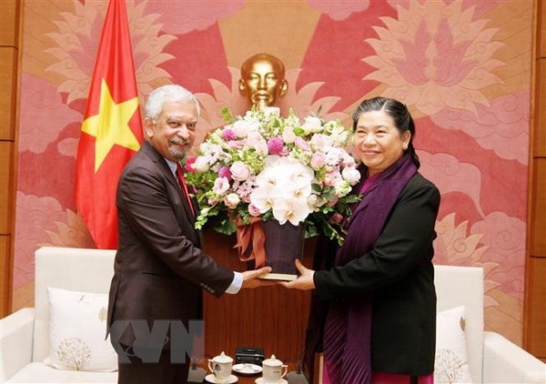 Wakil Harian Ketua MN Tong Thi Phong menerima delegasi pemimpin badan-badan PBB di Vietnam - ảnh 1