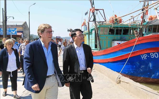 Komisi Perikanan Parlemen Eropa melakukan temu kerja di Kota Hai Phong - ảnh 1