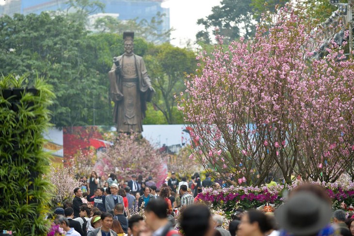  Festival bunga Sakura Jepang-Hanoi tahun 2019 yang unik - ảnh 1