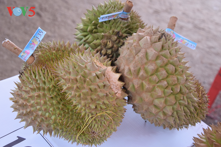 Festival Durian Khatulistiwa 2019, kebanggaan masyarakat Kalimantan Barat - ảnh 6