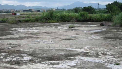 US project to clean up dioxin contamination in Danang - ảnh 1