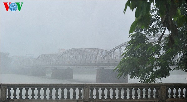Hue imperial city in the rain  - ảnh 12