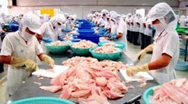 US, top importer of Vietnamese seafood - ảnh 1