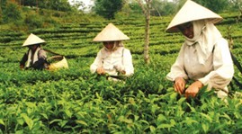 Australia provides direct aid to Vietnam's disadvantaged people  - ảnh 1