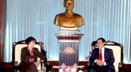 Deputy Assistant to US President visits Vietnam  - ảnh 1