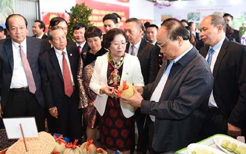 Solution to Vietnam’s agricultural development - ảnh 1